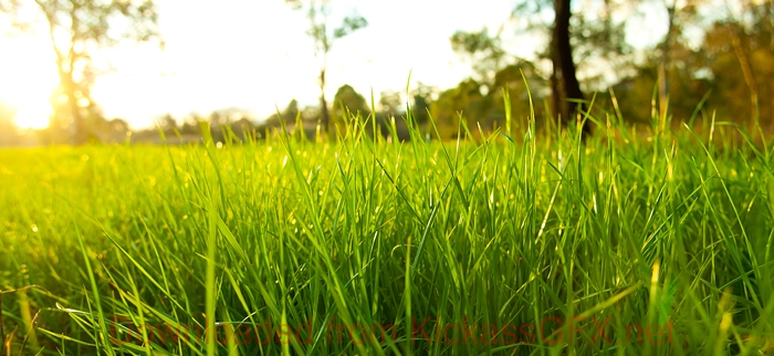 攻击网站服务器