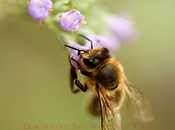 网站ddos隐藏源ip