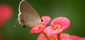 ddos压力在线测试平台