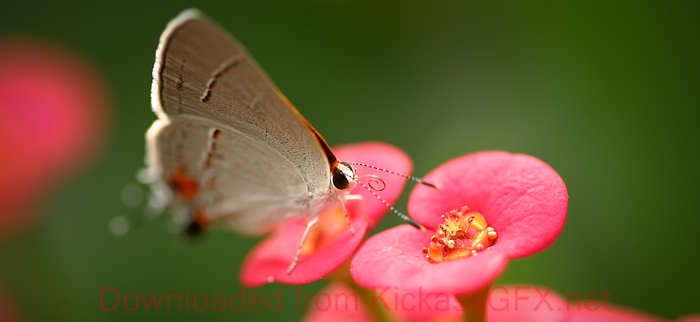 ddos在线攻击工具